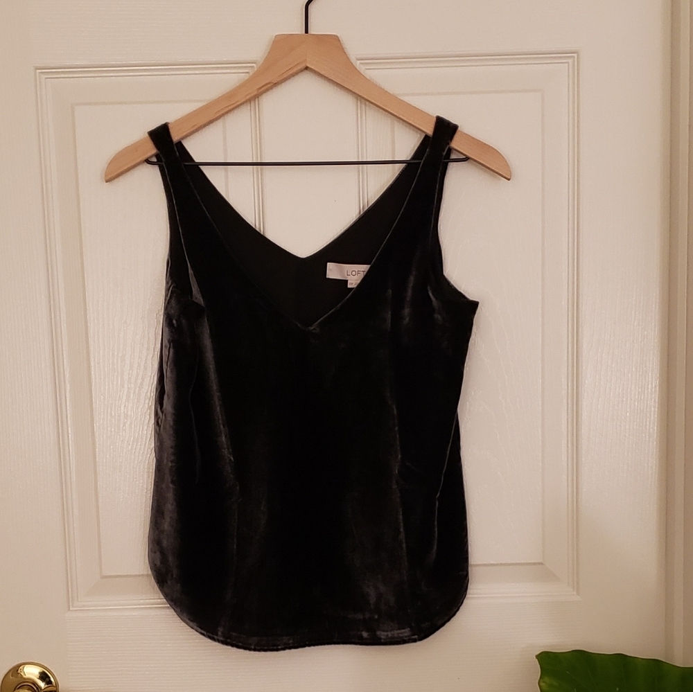 Loft velvet top